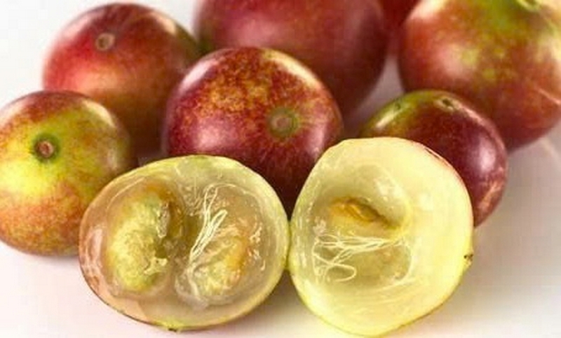 camu camu ảnh 6