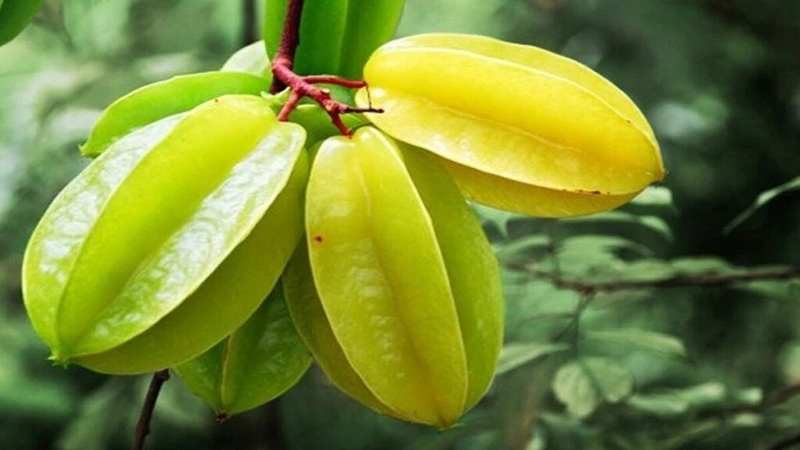 canh bò nấu khế 7