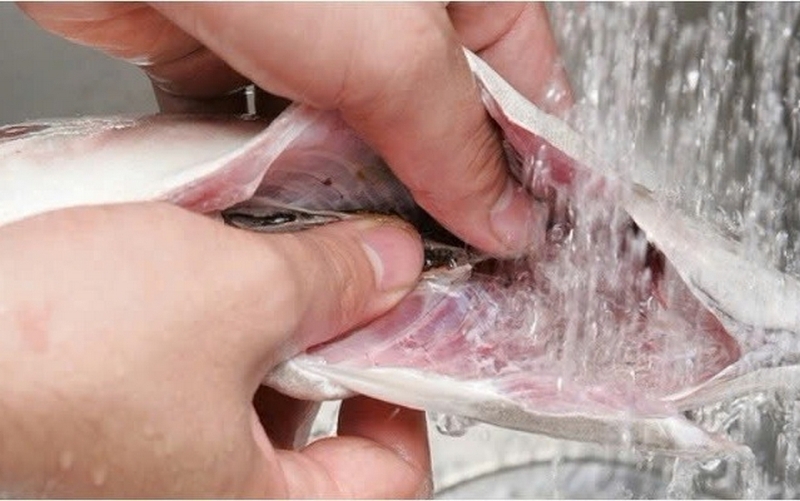 canh cá chép nấu sấu ảnh 3