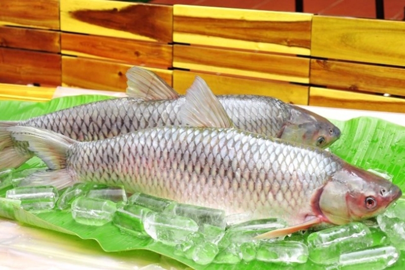 Canh cá nấu rau cần - 02