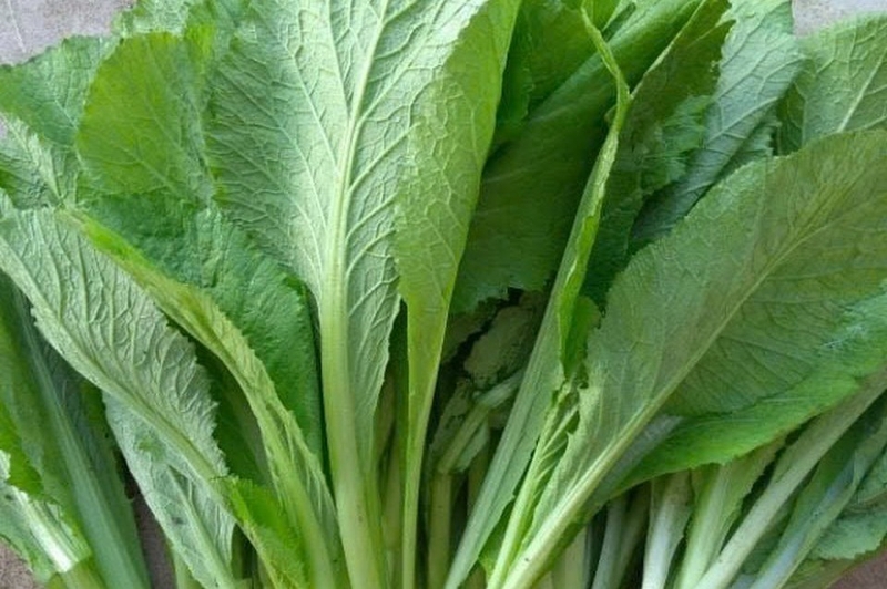 canh cải bẹ xanh nấu tôm ảnh 6