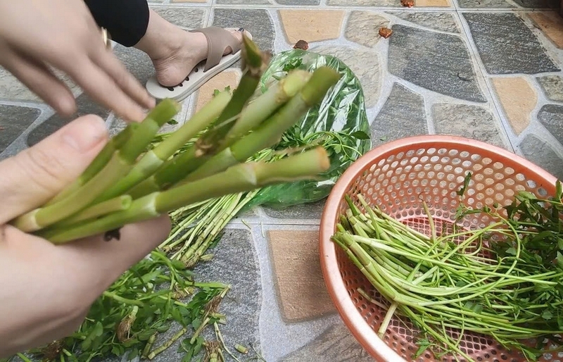 Canh cần tây càng ghẹ ảnh 4