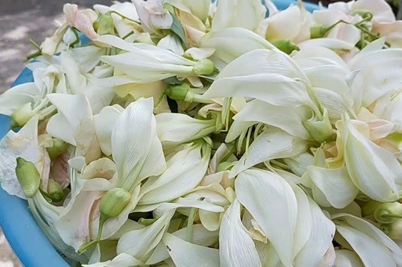 Canh chua bông so đũa ảnh 2