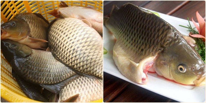 canh chua cá chép nấu dọc mùng ảnh 14