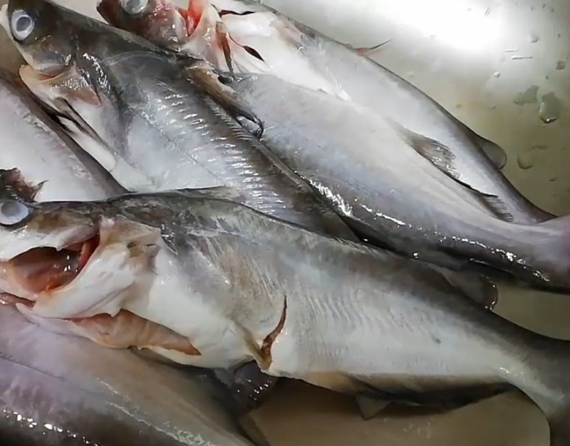 canh chua cá ngạnh nấu măng chua ảnh 3