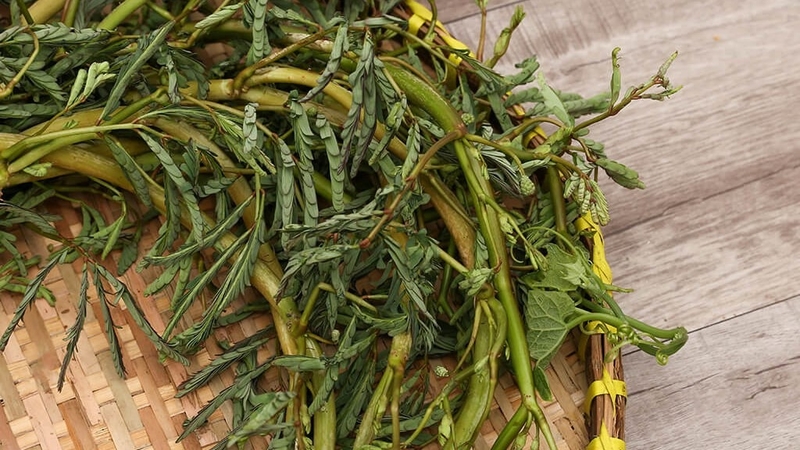 Canh chua rau nhút 1