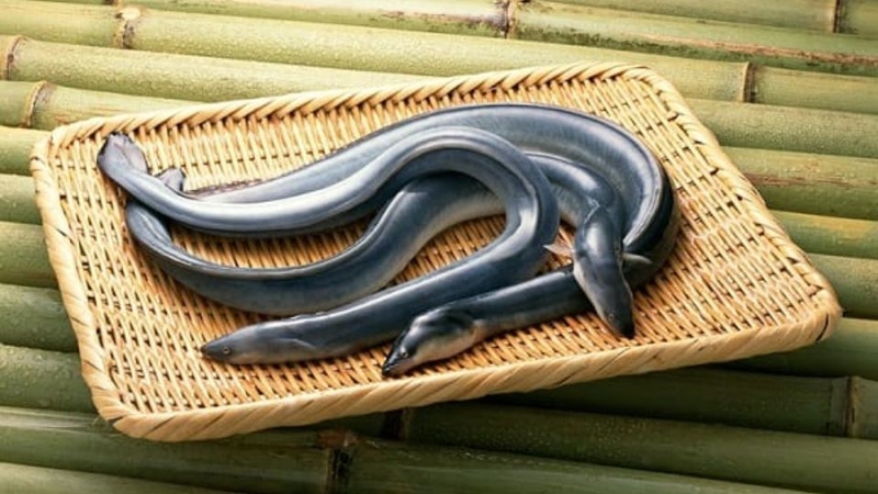 Canh chua trái giác 2