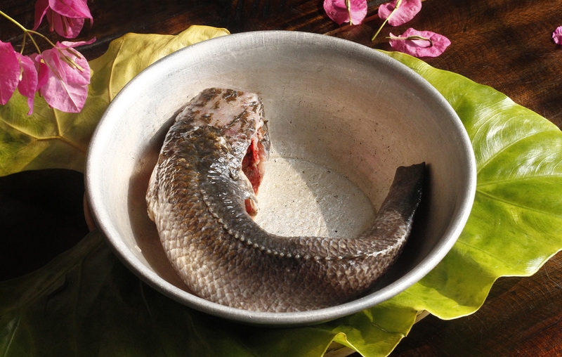canh củ sắn nấu cá quả 5