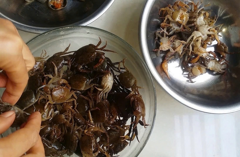 canh cua đồng ảnh 1