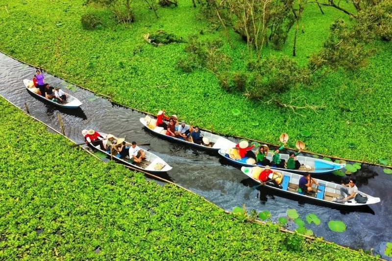 Rừng Tràm Trà Sư - An Giang