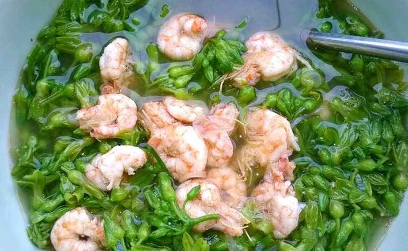 canh hoa thiên lý ảnh 8