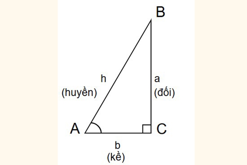 canh-huyen-la-gi-2.jpg