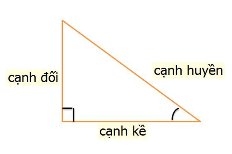 canh-huyen-la-gi-3.jpg