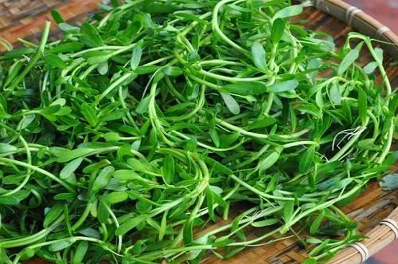 Canh rau đắng cá lóc ảnh 2