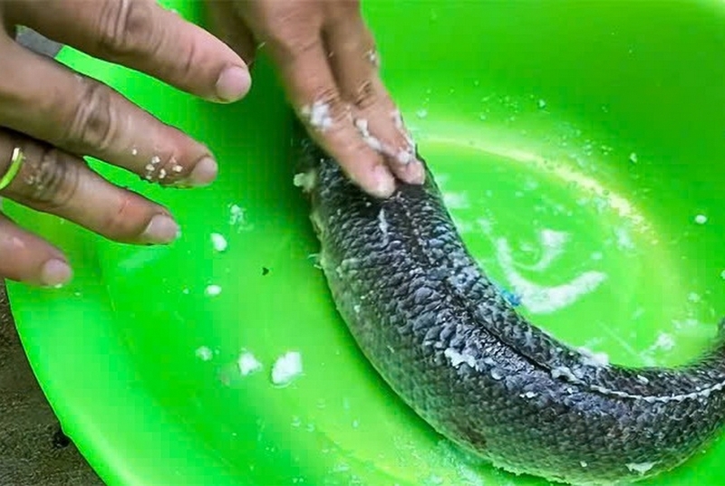 Canh rau đắng cá lóc ảnh 3