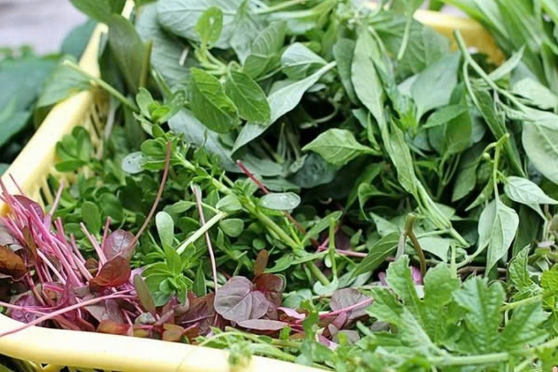 canh rau tập tàng nấu tôm thịt ảnh 1