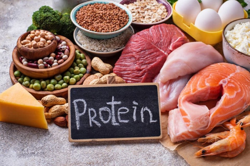 Cung cấp protein lớn cho cơ thể