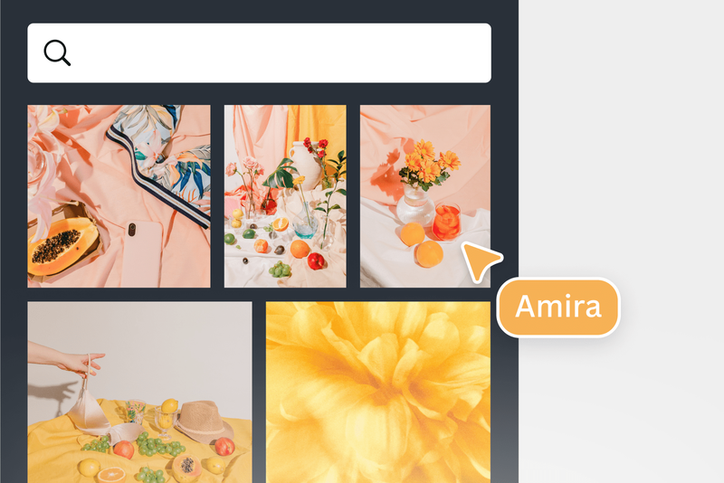Canva Pro giá bao nhiêu 4
