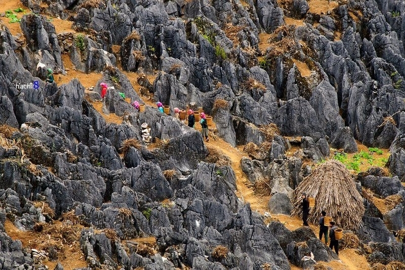 cao nguyên đá đồng văn ảnh 2