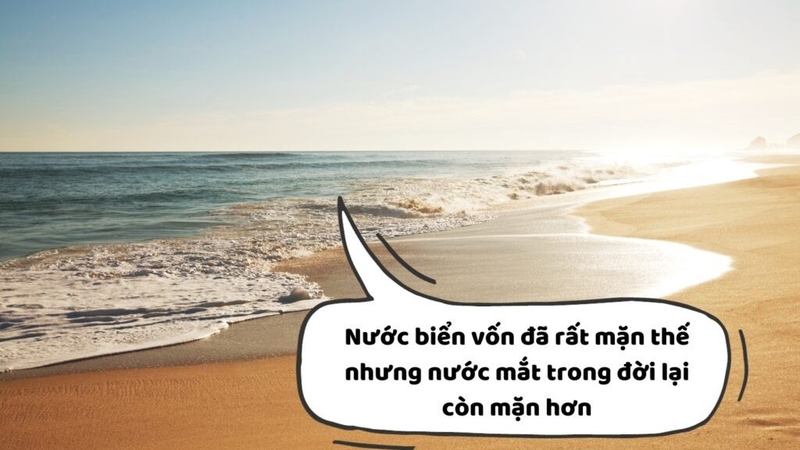 Cap đăng ảnh đi biển ảnh 9