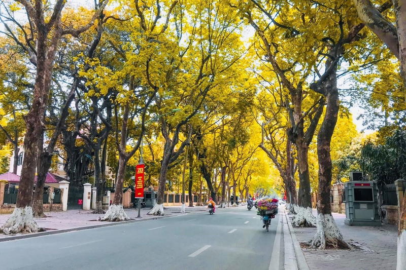 Cap hay về mùa thu 5