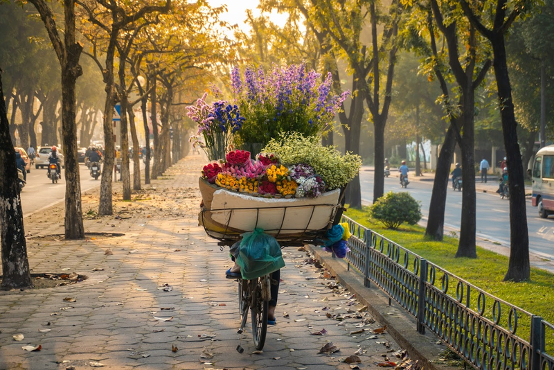 Cap hay về mùa thu 3
