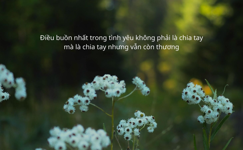 Caption buồn, tâm trạng sau chia tay