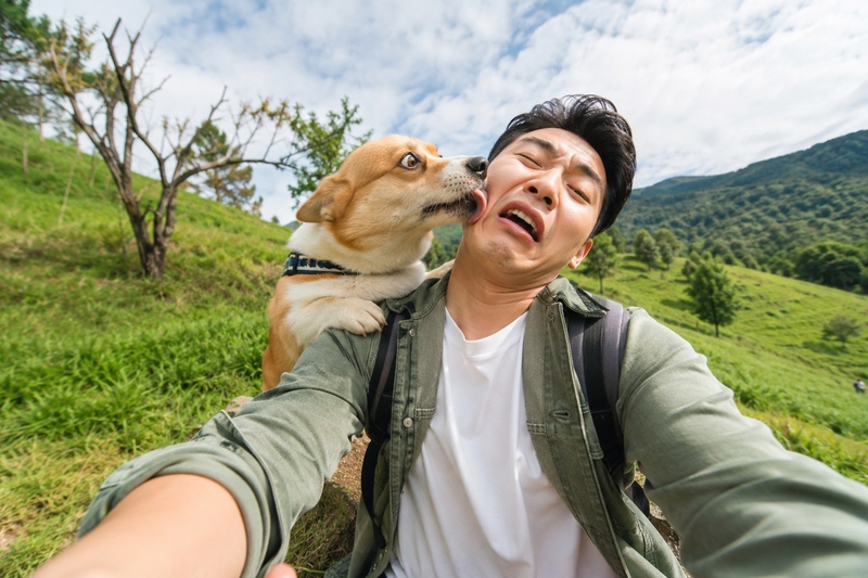 Caption chụp với chó hài hước, lầy lội