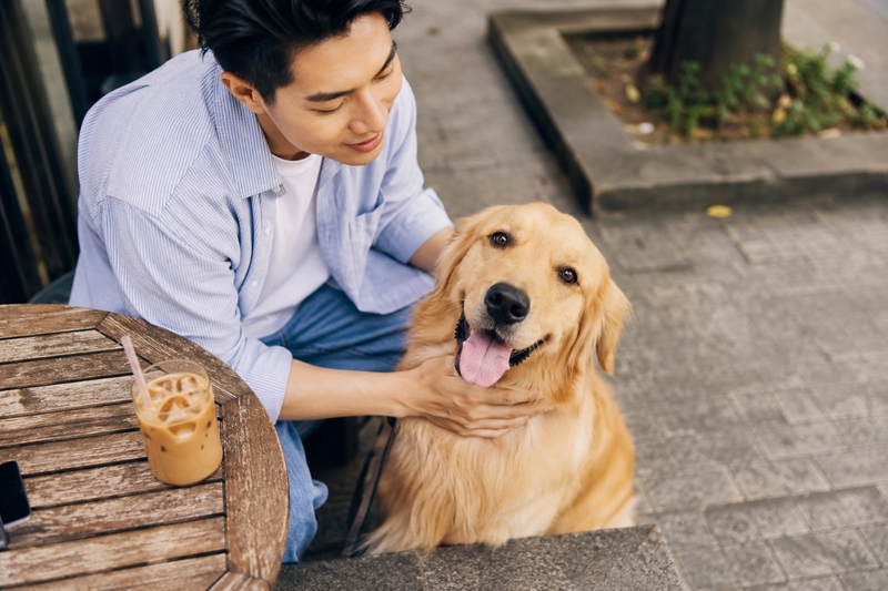 Caption chụp với chó bằng tiếng Anh