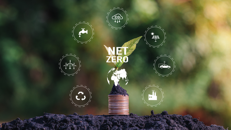 carbon neutral 2