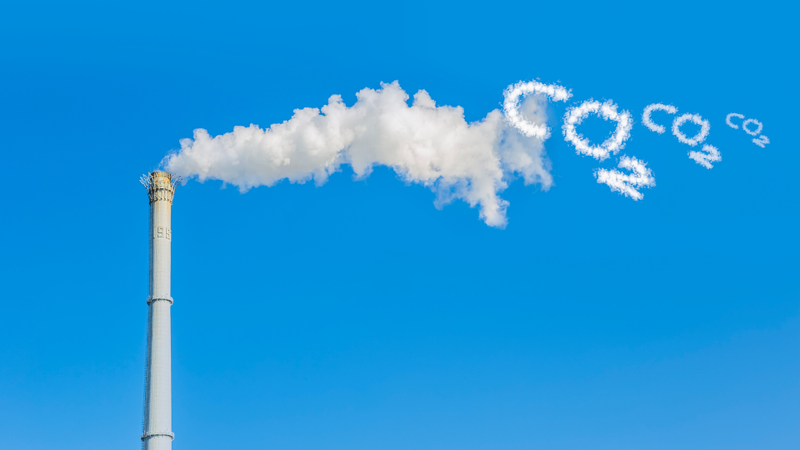 carbon neutral 4