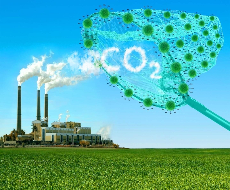 Carbon neutral là gì 6