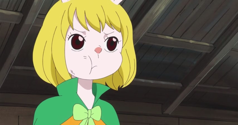 carrot one piece 1