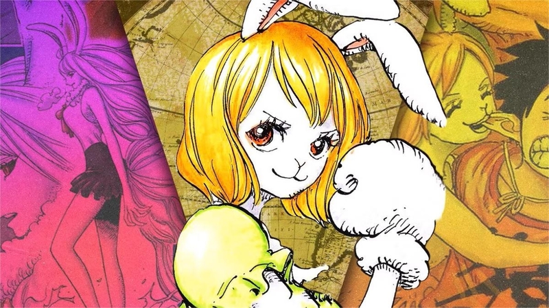 carrot one piece 4