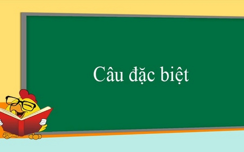 câu đặc biệt là gì ảnh 1