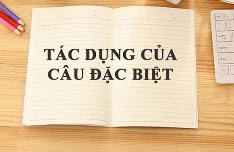 câu đặc biệt là gì ảnh 2