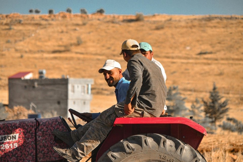 câu đố về nghề nghiệp (ảnh 3)