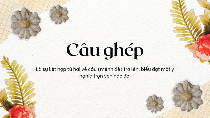 Câu ghép là một dạng câu đặc biệt và thường gặp trong tiếng Việt