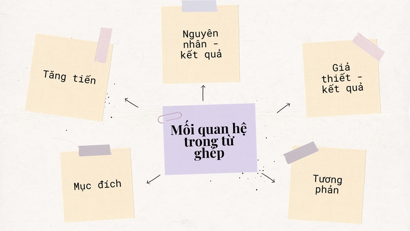 Có nhiều mối quan hệ được diễn đạt trong từ ghép