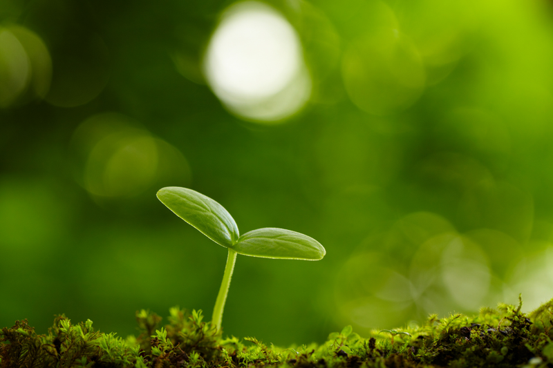 câu nói hay về cuộc đời