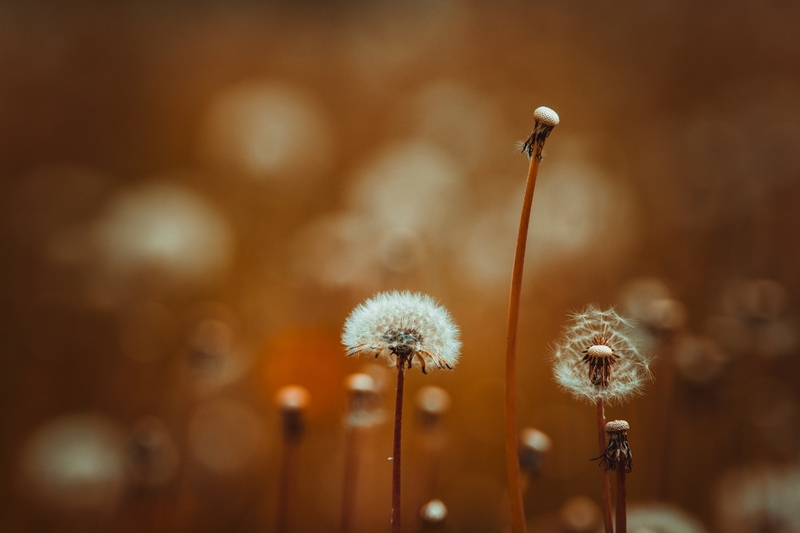 Những câu nói hay về cuộc sống đời thường