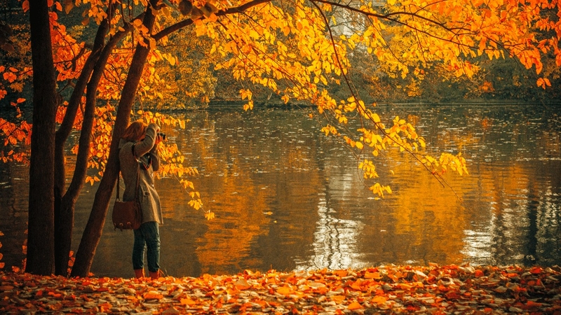 câu nói hay về mùa thu 10