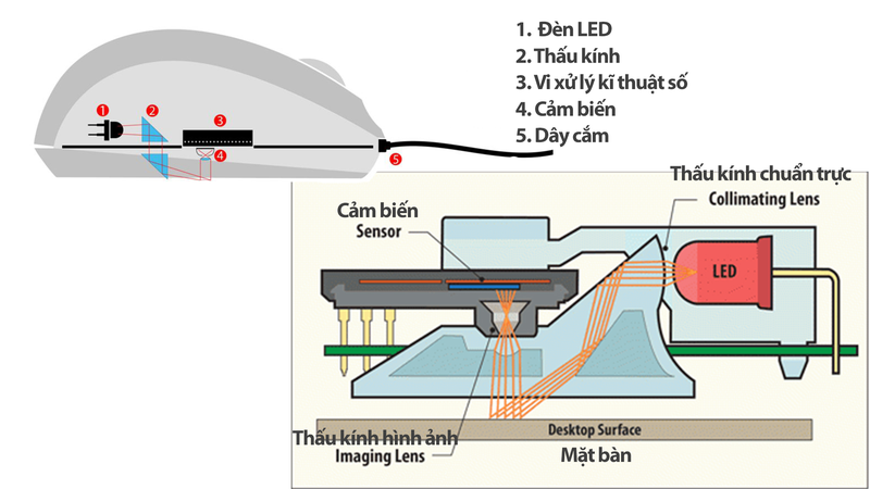 Cấu tạo chuột máy tính 1