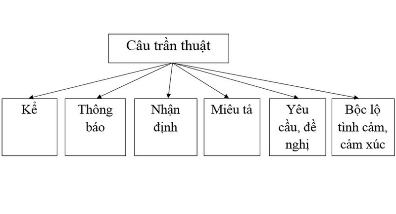 câu trần thuật là gì ảnh 3