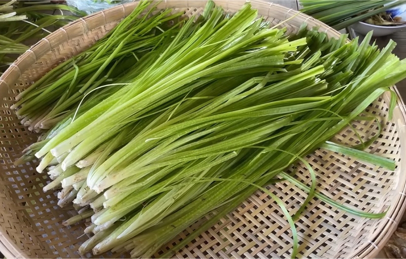 Cây hẹ nước - 07