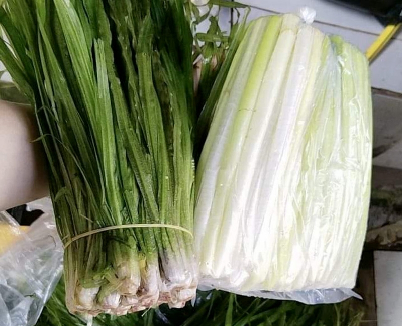 Cây hẹ nước - 06