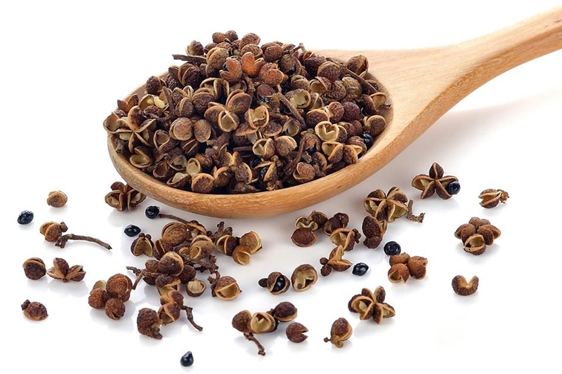 Cây mắc khén rừng - 07