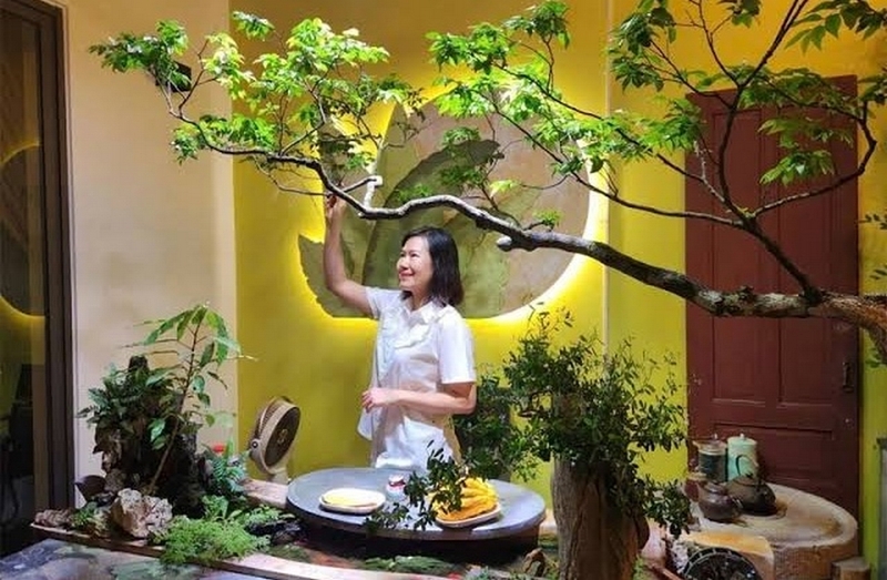 cây muội hồng là cây gì ảnh 1