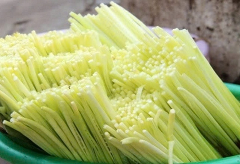 Cây năng ảnh 1