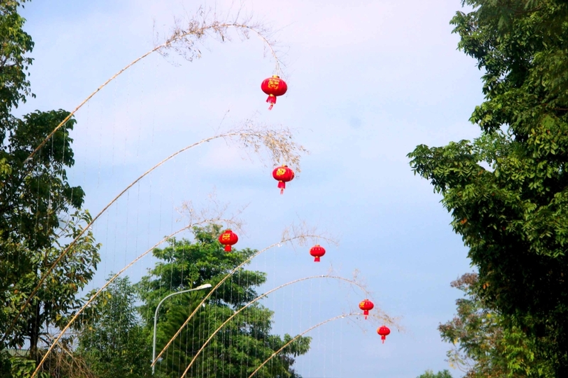 Cây nêu ngày Tết 1